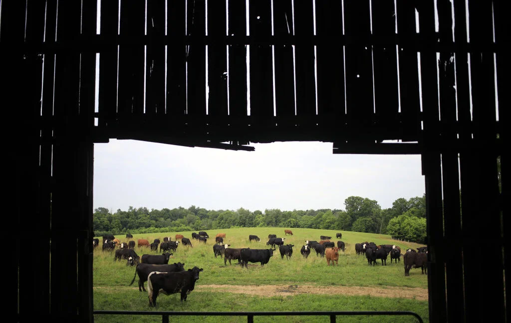 Data center builders thought farmers would willingly sell land, learn otherwise