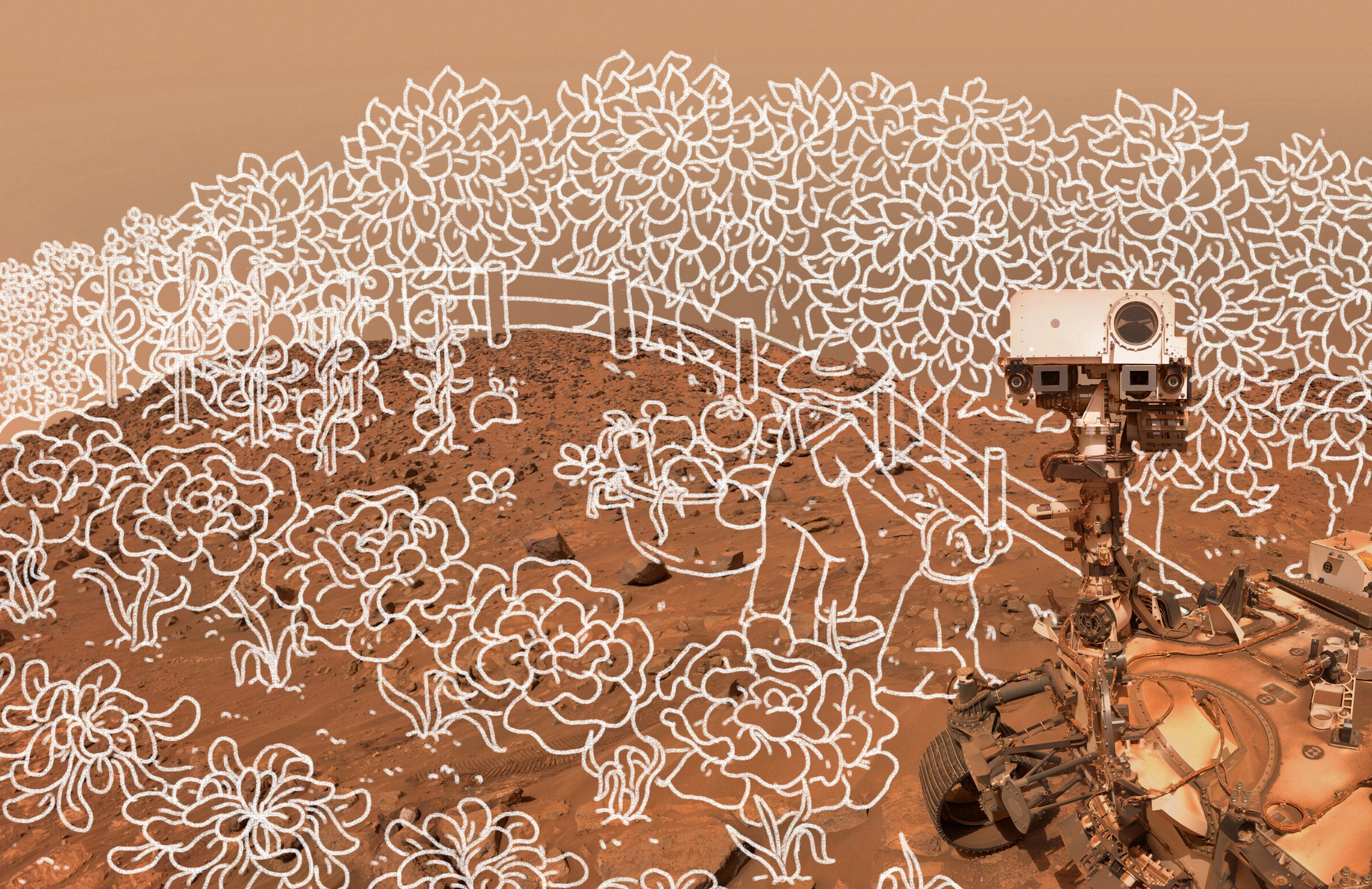 white line drawing of crops drawn over an image with a Mars rover